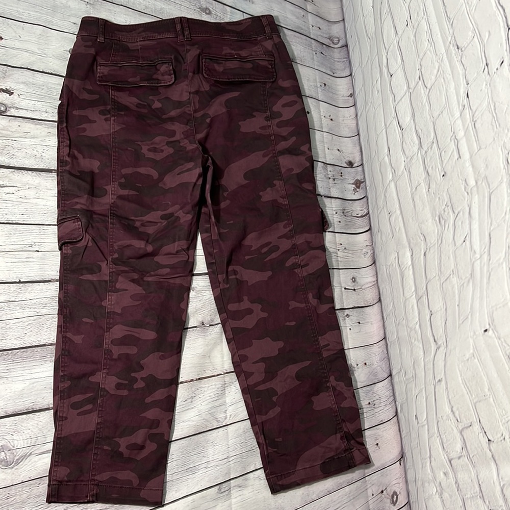 Democracy “rum raisin” cargo pants.